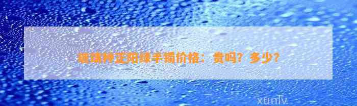 玻璃种正阳绿手镯价格：贵吗？多少？