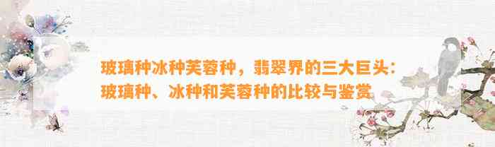 玻璃种冰种芙蓉种，翡翠界的三大巨头：玻璃种、冰种和芙蓉种的比较与鉴赏