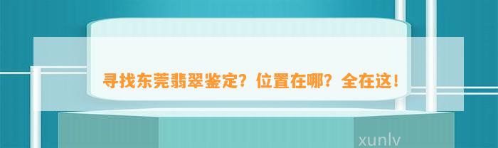 寻找东莞翡翠鉴定？位置在哪？全在这！