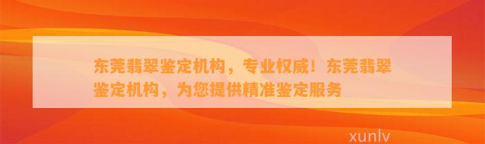 东莞翡翠鉴定机构，专业权威！东莞翡翠鉴定机构，为您提供精准鉴定服务