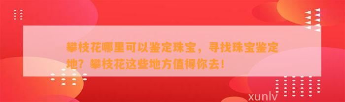 攀枝花哪里可以鉴定珠宝，寻找珠宝鉴定地？攀枝花这些地方值得你去！