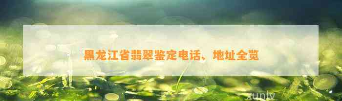 黑龙江省翡翠鉴定电话、地址全览