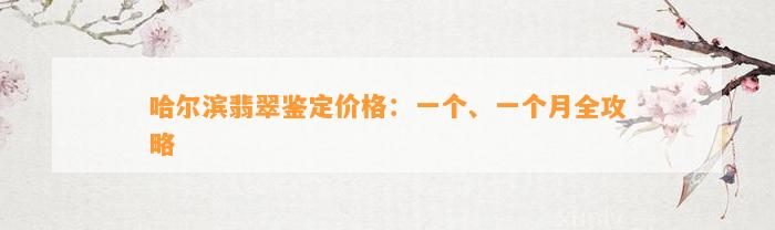 哈尔滨翡翠鉴定价格：一个、一个月全攻略