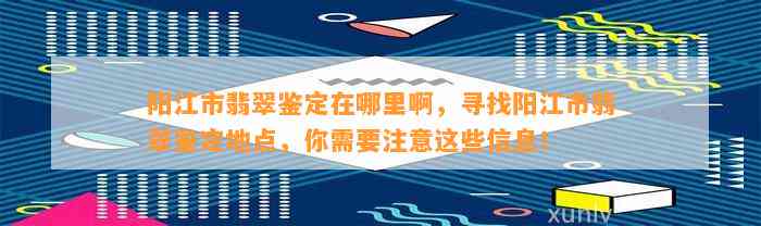 阳江市翡翠鉴定在哪里啊，寻找阳江市翡翠鉴定地点，你需要留意这些信息！