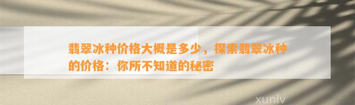 翡翠冰种价格大概是多少，探索翡翠冰种的价格：你所不知道的秘密