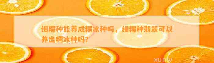 细糯种能养成糯冰种吗，细糯种翡翠可以养出糯冰种吗？