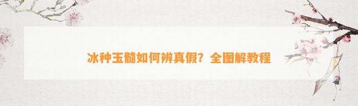 冰种玉髓怎样辨真假？全图解教程