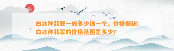 白冰种翡翠一般多少钱一个，价格揭秘：白冰种翡翠的价格范围是多少？