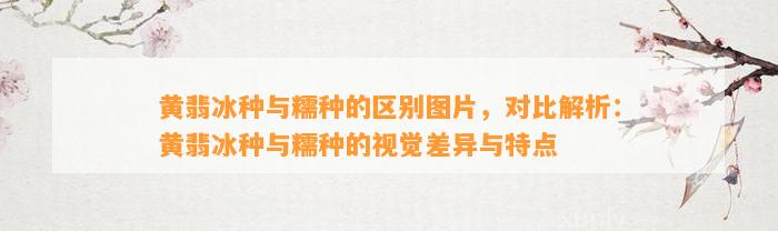 黄翡冰种与糯种的区别图片，对比解析：黄翡冰种与糯种的视觉差异与特点