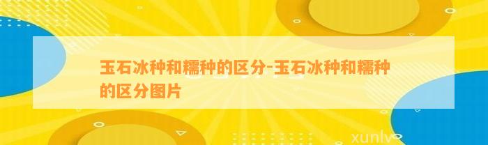 玉石冰种和糯种的区分-玉石冰种和糯种的区分图片