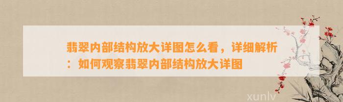 翡翠内部结构放大详图怎么看，详细解析：怎样观察翡翠内部结构放大详图