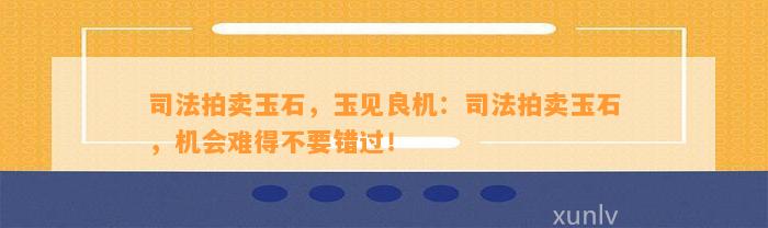 司法拍卖玉石，玉见良机：司法拍卖玉石，机会难得不要错过！