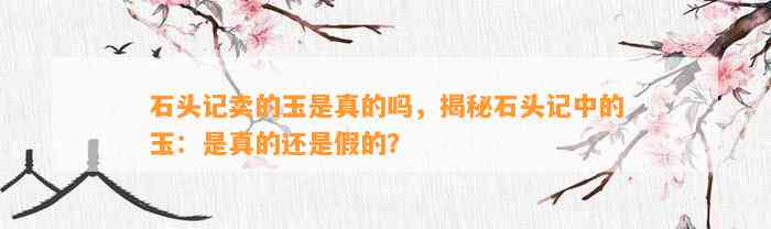 石头记卖的玉是真的吗，揭秘石头记中的玉：是真的还是假的？