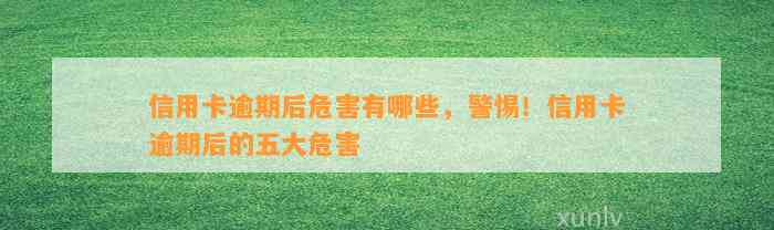 信用卡逾期后危害有哪些，警惕！信用卡逾期后的五大危害