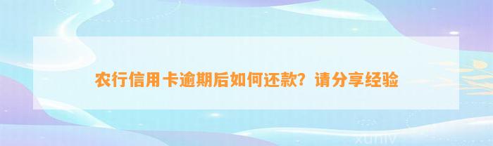 农行信用卡逾期后如何还款？请分享经验