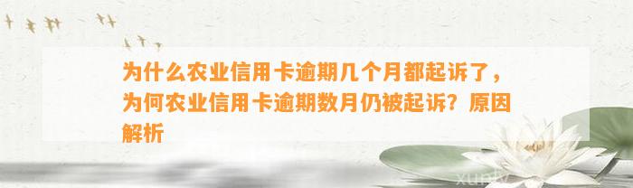 为什么农业信用卡逾期几个月都起诉了，为何农业信用卡逾期数月仍被起诉？原因解析