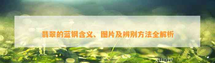 翡翠的蓝钢含义、图片及辨别方法全解析