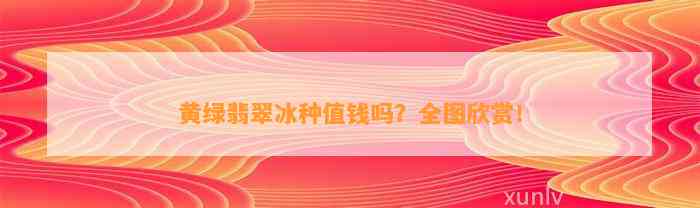 黄绿翡翠冰种值钱吗？全图欣赏！