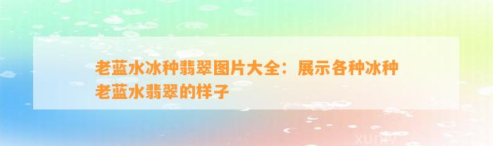 老蓝水冰种翡翠图片大全：展示各种冰种老蓝水翡翠的样子