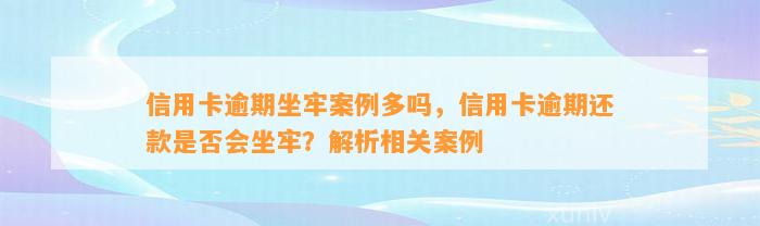 信用卡逾期坐牢案例多吗，信用卡逾期还款是否会坐牢？解析相关案例