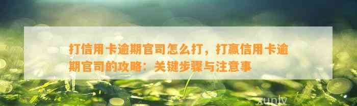 打信用卡逾期官司怎么打，打赢信用卡逾期官司的攻略：关键步骤与注意事