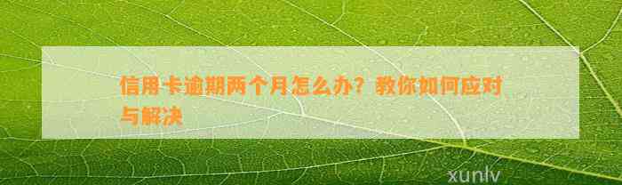 信用卡逾期两个月怎么办？教你如何应对与解决