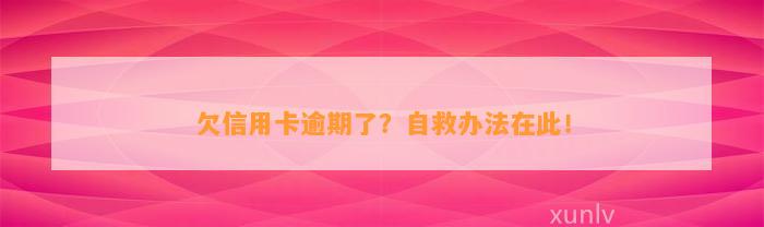 欠信用卡逾期了？自救办法在此！