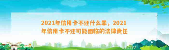 2021年信用卡不还什么罪，2021年信用卡不还可能面临的法律责任