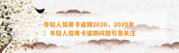 年轻人信用卡逾期2020，2020年：年轻人信用卡逾期问题引发关注