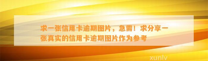 求一张信用卡逾期图片，急需！求分享一张真实的信用卡逾期图片作为参考