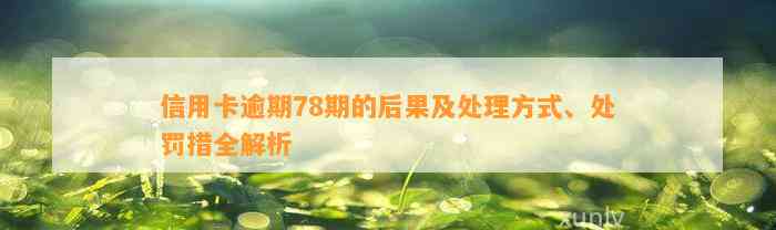 信用卡逾期78期的后果及处理方式、处罚措全解析