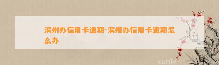 滨州办信用卡逾期-滨州办信用卡逾期怎么办