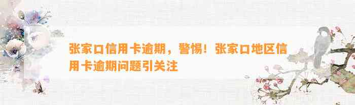 张家口信用卡逾期，警惕！张家口地区信用卡逾期问题引关注