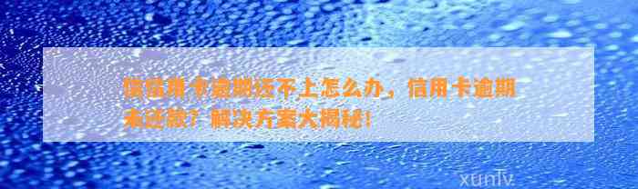 信信用卡逾期还不上怎么办，信用卡逾期未还款？解决方案大揭秘！