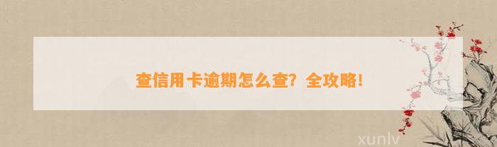 查信用卡逾期怎么查？全攻略！