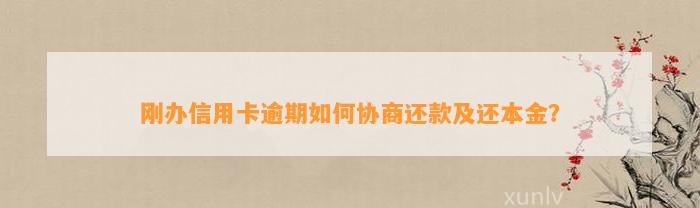 刚办信用卡逾期如何协商还款及还本金？