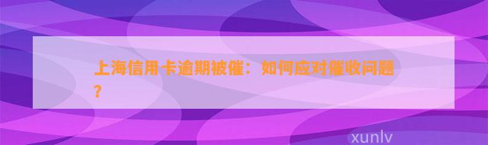 上海信用卡逾期被催：如何应对催收问题？