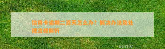 信用卡逾期二百天怎么办？解决办法及处理流程解析