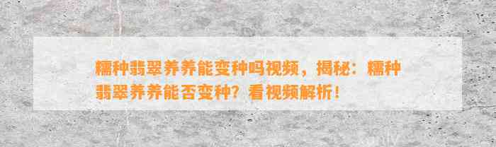 糯种翡翠养养能变种吗视频，揭秘：糯种翡翠养养能否变种？看视频解析！