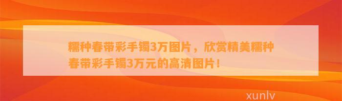 糯种春带彩手镯3万图片，欣赏精美糯种春带彩手镯3万元的高清图片！