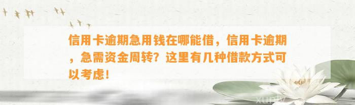 信用卡逾期急用钱在哪能借，信用卡逾期，急需资金周转？这里有几种借款方式可以考虑！