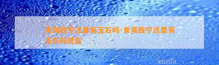 青海西宁这里有玉石吗-青海西宁这里有玉石吗现在