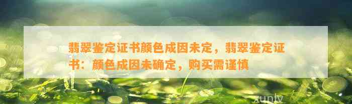 翡翠鉴定证书颜色成因未定，翡翠鉴定证书：颜色成因未确定，购买需谨慎