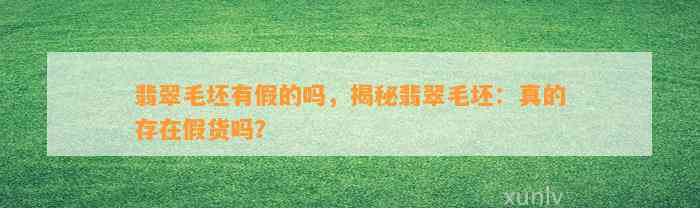 翡翠毛坯有假的吗，揭秘翡翠毛坯：真的存在假货吗？