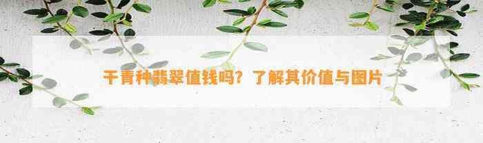 干青种翡翠值钱吗？熟悉其价值与图片