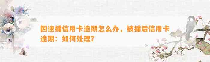 因逮捕信用卡逾期怎么办，被捕后信用卡逾期：如何处理？