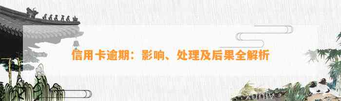 信用卡逾期：影响、处理及后果全解析