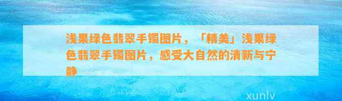 浅果绿色翡翠手镯图片，「精美」浅果绿色翡翠手镯图片，感受大自然的清新与宁静