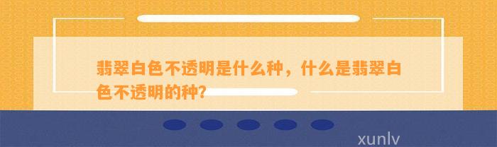 翡翠白色不透明是什么种，什么是翡翠白色不透明的种？