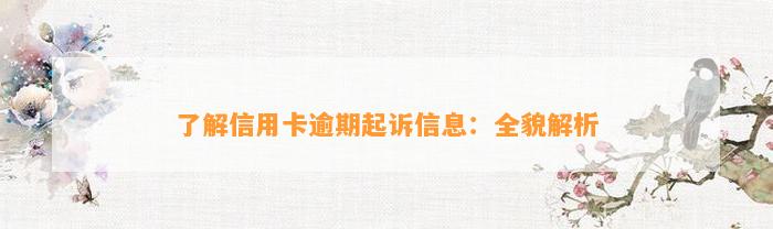 了解信用卡逾期起诉信息：全貌解析